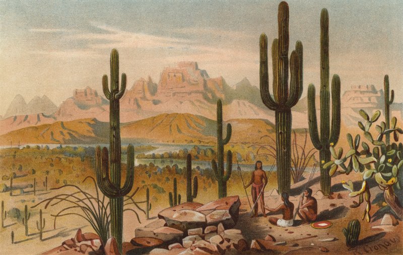 Cactos nas montanhas de Utah, EUA de Rudolf Cronau