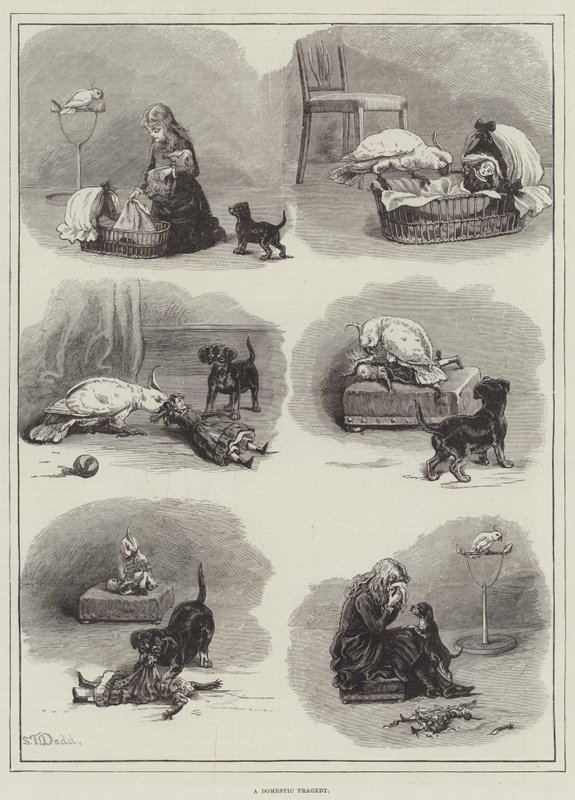 Uma tragédia doméstica de S.T. Dadd