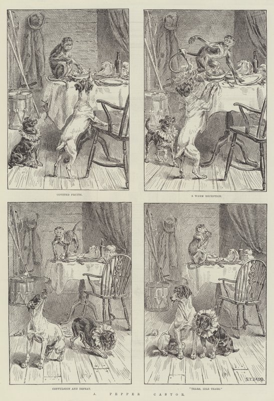 Um rodízio de pimenta de S.T. Dadd