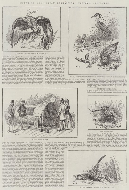 Exposição Colonial e Indiana, Austrália Ocidental de S.T. Dadd