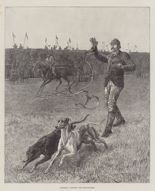 Correndo, escorregando os galgos de S.T. Dadd