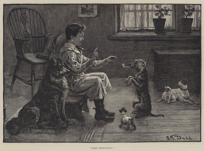 Educação Livre de S.T. Dadd