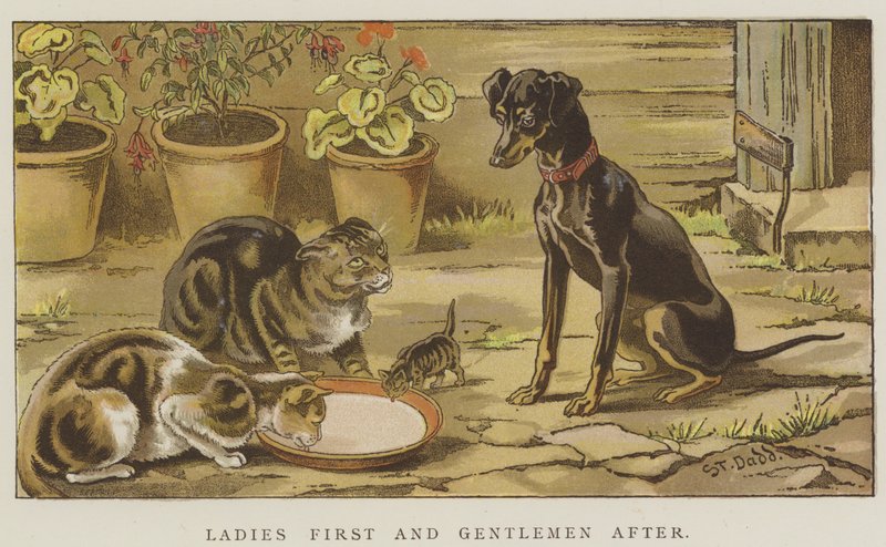 Senhoras primeiro e senhores depois (chromolitho) de S.T. Dadd