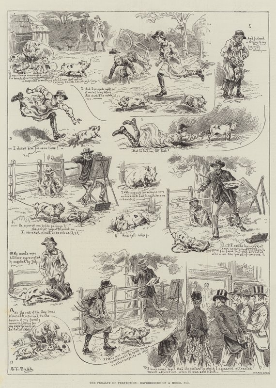 A pena da perfeição, experiências de um porco modelo de S.T. Dadd