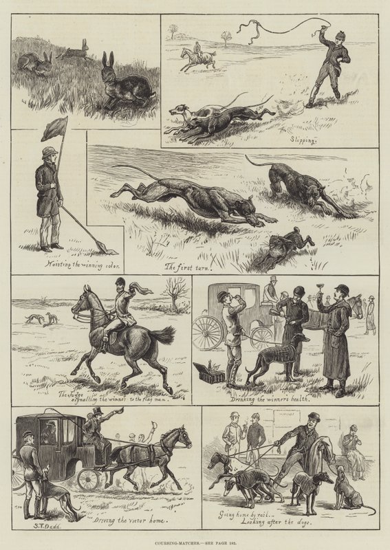 Coursing-Matches (gravura) de S.T. (after) Dadd