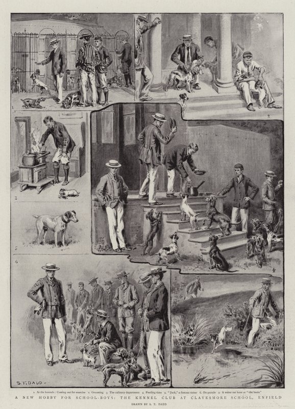 Um novo passatempo para meninos da escola, o Kennel Club na Clayesmore School, Enfield de S.T. Dadd