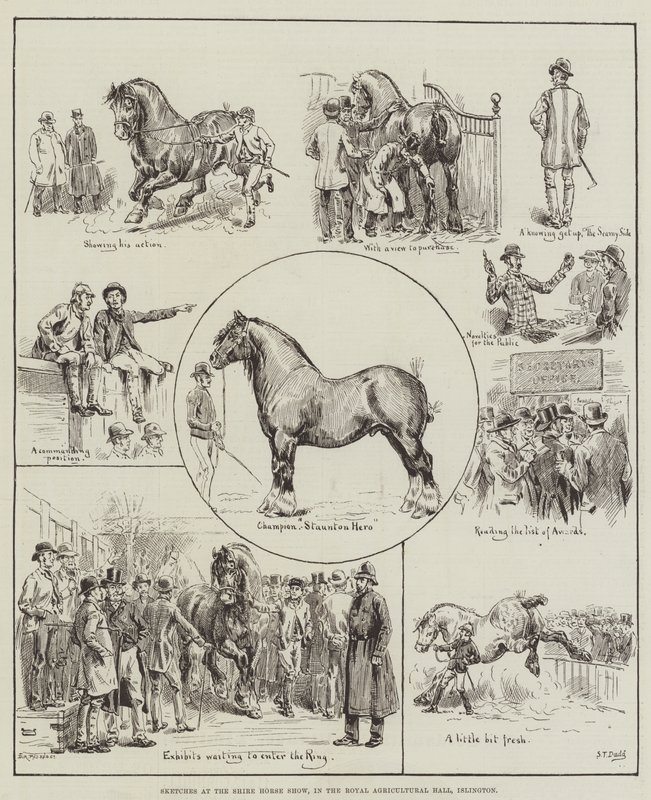 Esboços no Shire Horse Show, no Royal Agricultural Hall, em Islington de S.T. Dadd