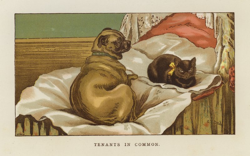 Inquilinos em comum de S.T. Dadd