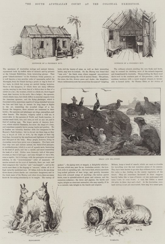 Tribunal do Sul da Austrália na Exposição Colonial de S.T. Dadd