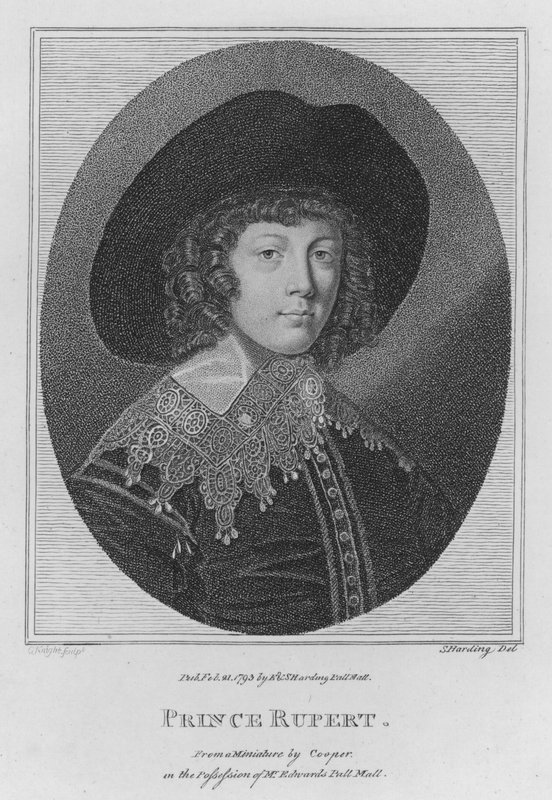 Príncipe Rupert (gravura) de S. (after) Harding