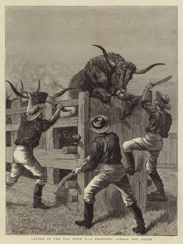 Gado no extremo oeste, eu, um curral de marca e Shute de Samuel Edmund Waller