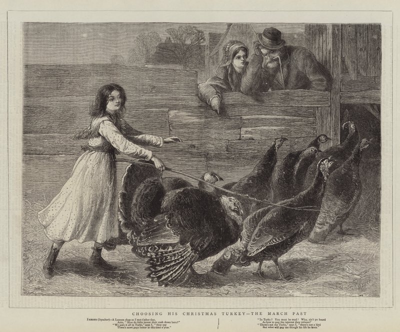Escolhendo sua Turquia natalina, o passado de março de Samuel Edmund Waller