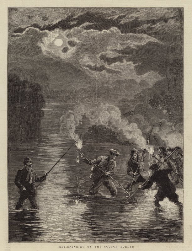 Enguia de enguia na fronteira escocesa de Samuel Edmund Waller