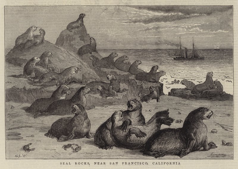 Seal Rocks, perto de São Francisco, Califórnia de Samuel Edmund Waller