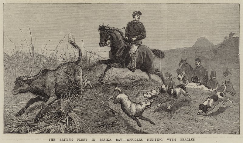 A frota britânica na baía de Besika, oficiais que caçam com lebreiros de Samuel Edmund Waller
