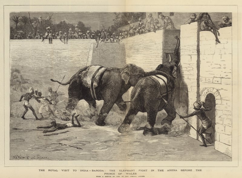 A visita real à Índia, Baroda, o elefante luta na arena antes do Príncipe de Gales de Samuel Edmund Waller