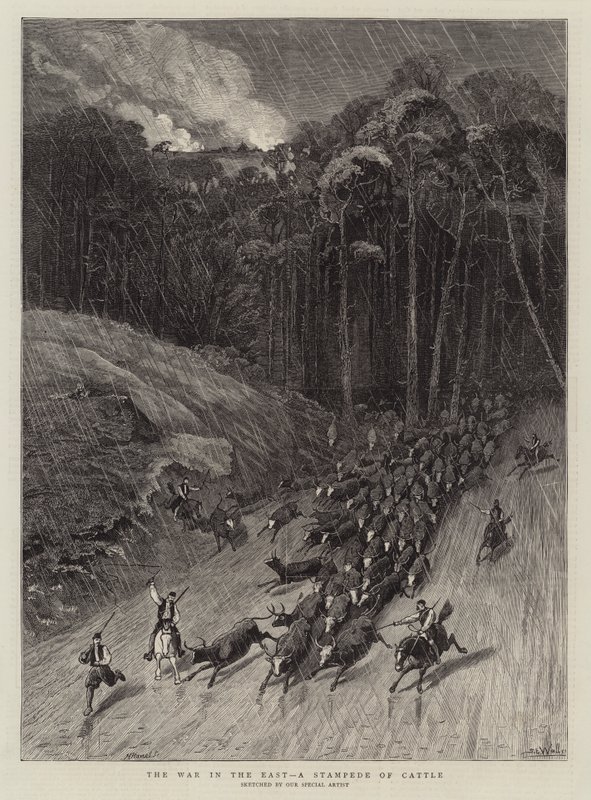 A guerra no leste, um estouro de gado de Samuel Edmund Waller