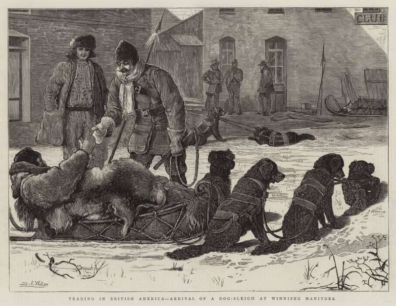 Negociação na América Britânica, chegada de um cão-trenó em Winnipeg Manitoba de Samuel Edmund Waller