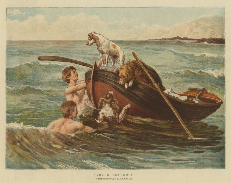 Cães-marinhos jovens (cromolitho) de Samuel Edmund Waller
