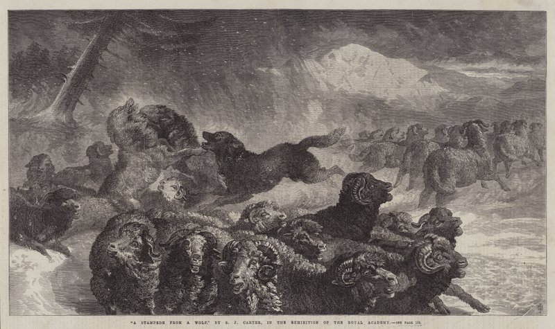 Um debandada de um lobo de Samuel John Carter