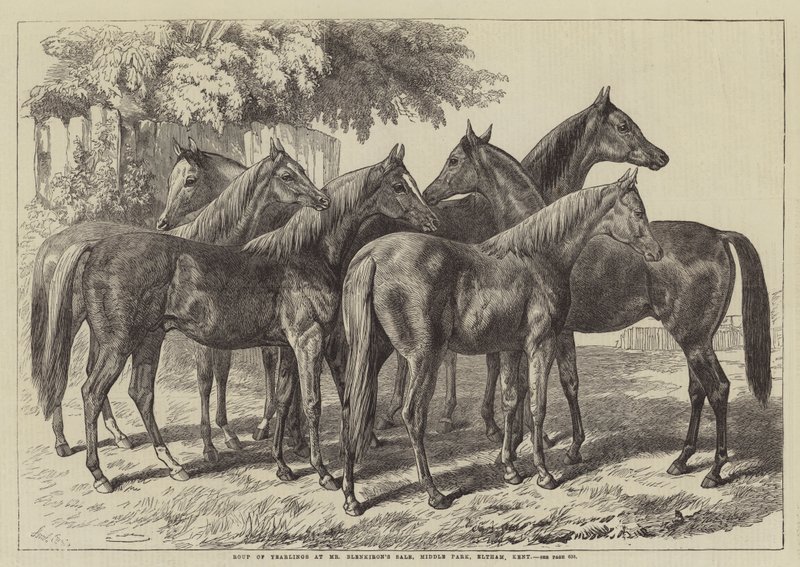 Grupo de Bezerros na Venda do Sr. Blenkiron, Middle Park, Eltham, Kent de Samuel John Carter
