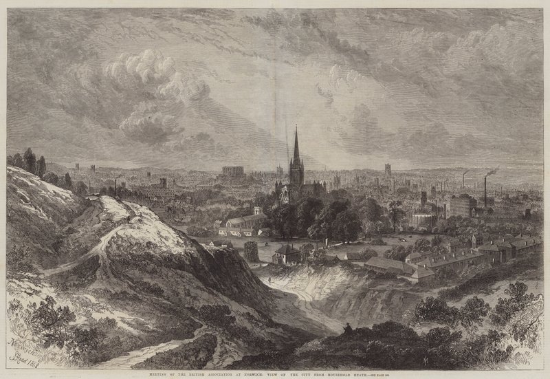 Encontro da Associação Britânica em Norwich, Vista da Cidade a partir de Mousehold Heath de Samuel Read