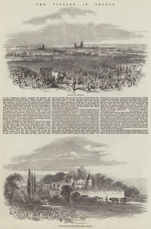 O Vintage na França de Samuel Read