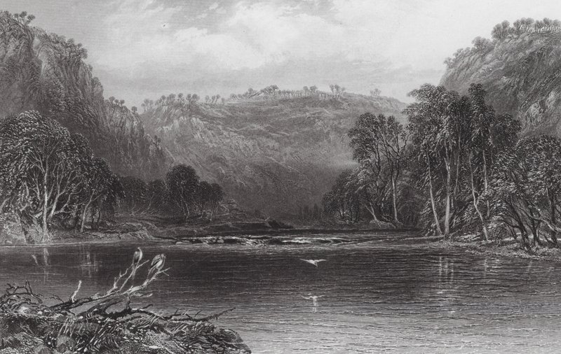 Austrália: No rio Cow Pasture (gravura) de Samuel (after) Prout