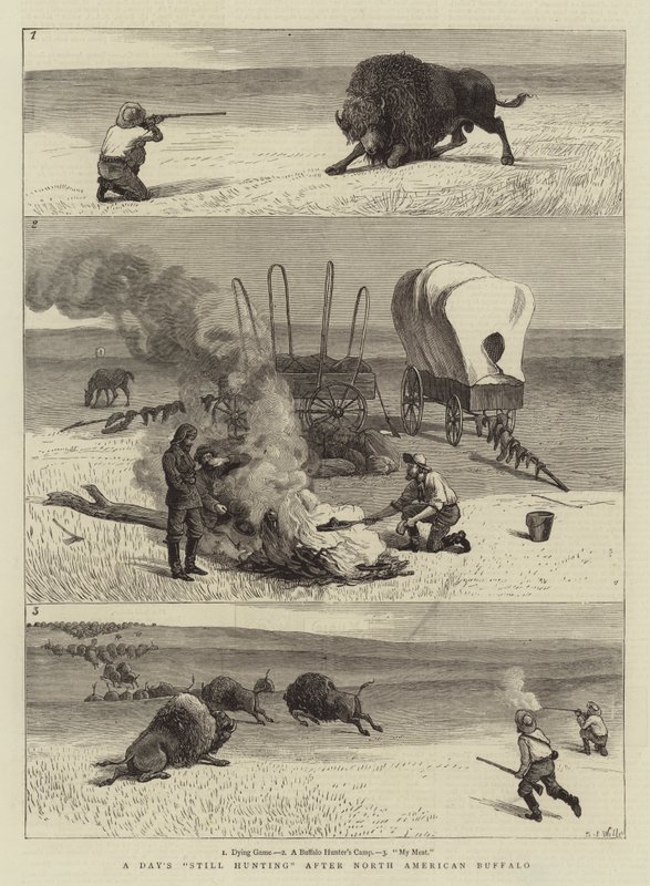 Um dia ainda caça depois do búfalo norte-americano de Samuel Edmund Waller
