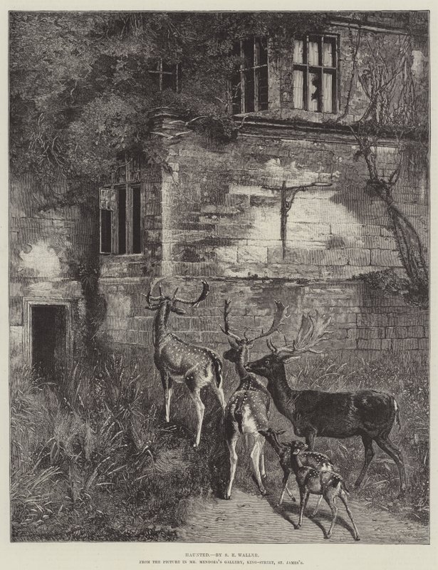 Assombrada de Samuel Edmund Waller