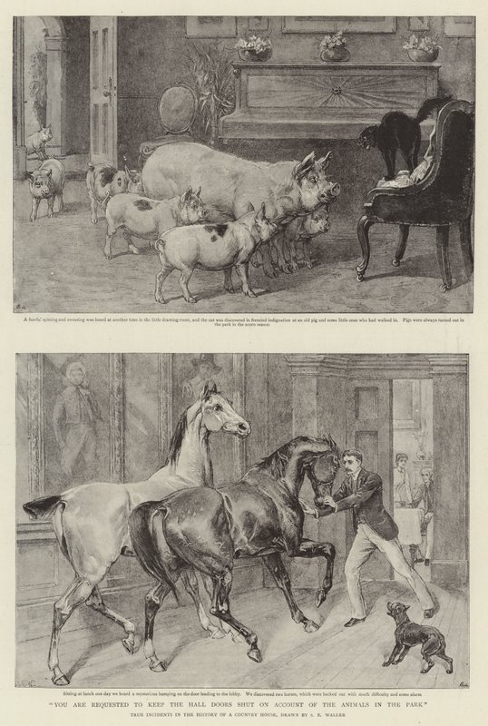 Você é solicitado a manter as portas do hall fechadas em conta dos animais no parque de Samuel Edmund Waller