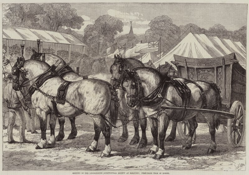 Reunião da Sociedade Agrícola de Lincolnshire em Sleaford, Primeira Equipe de Cavalos do Prêmio de Samuel John Carter