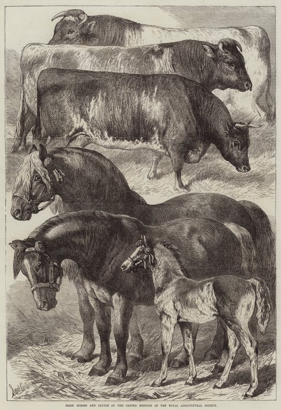 Prêmio cavalos e gado na reunião de Oxford da Royal Agricultural Society de Samuel John Carter