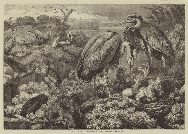 O heronry no parque de Didlington, Norfolk de Samuel John Carter