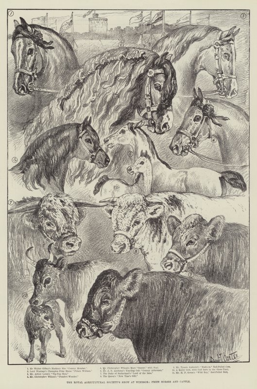 Show da Royal Agricultural Society em Windsor, cavalos premiados e gado de Samuel John Carter