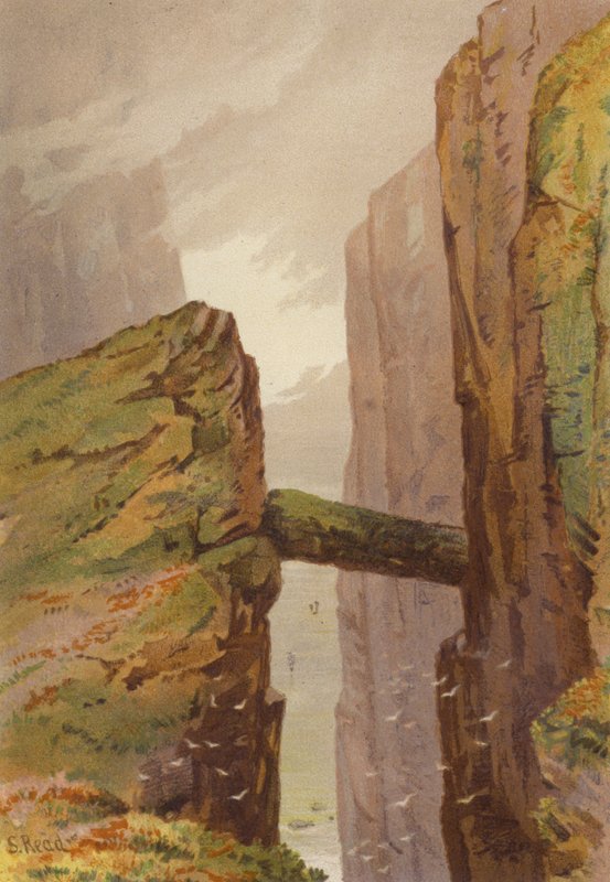 Norte da Irlanda, The Grey Man