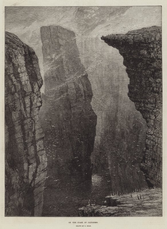 Na costa da Caithness de Samuel Read