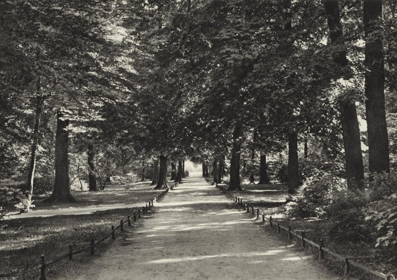 Berlim: Tiergarten (foto a p/b) de Sasha Stone