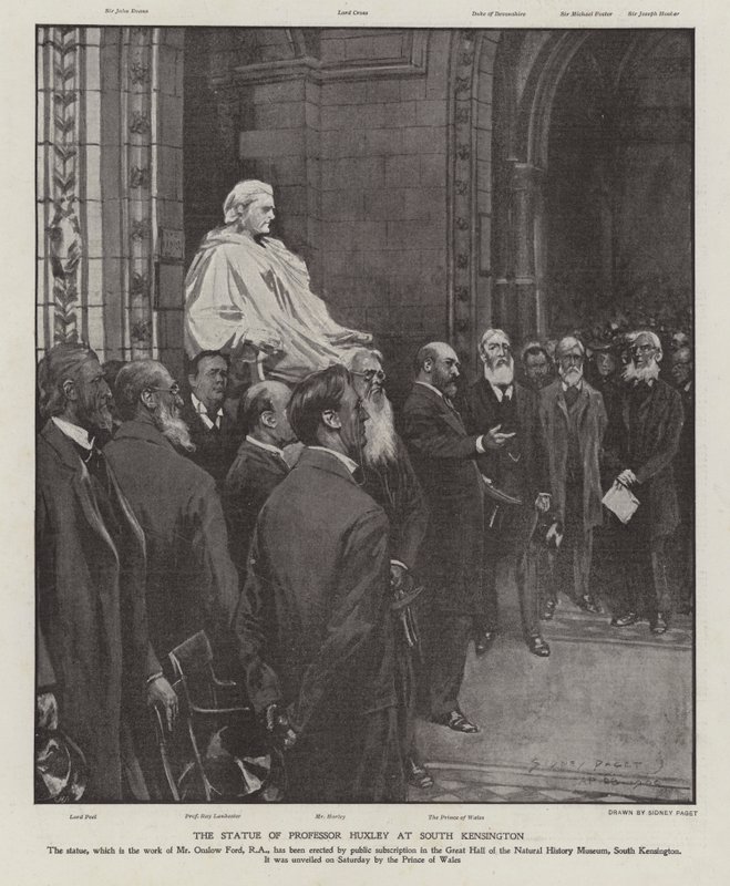 A estátua do Professor Thomas Henry Huxley no Grande Salão do Museu de História Natural, South Kensington, Londres (litho) de Sidney Paget