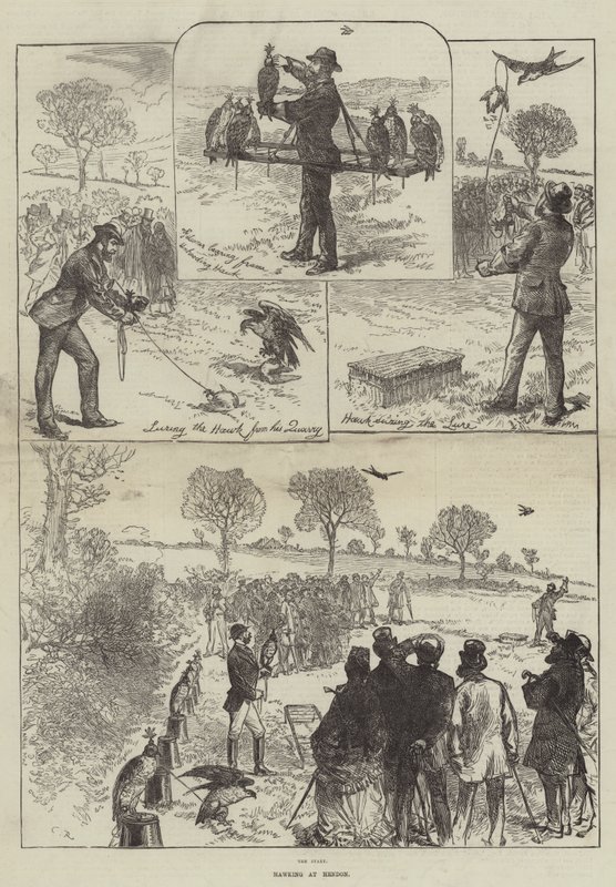 Hawking em Hendon de Sir John Charles Robinson
