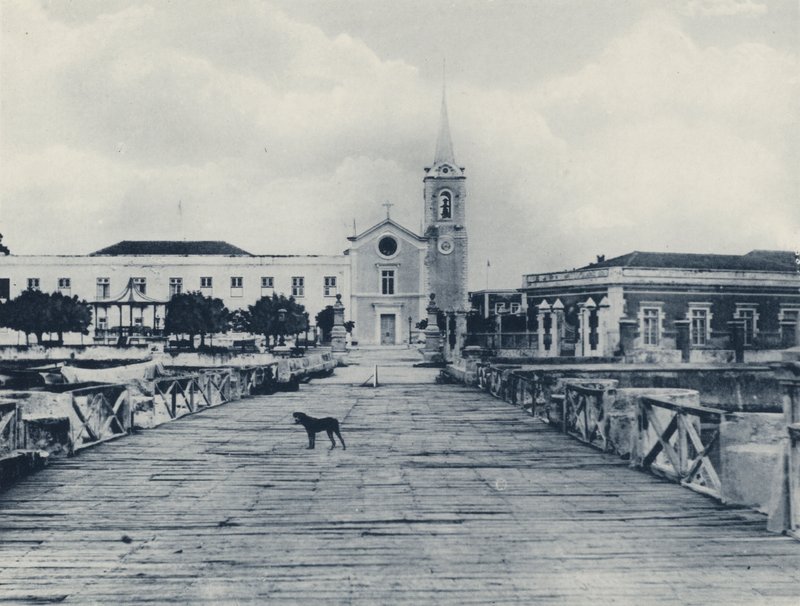 A Link with the Old World, Moçambique (foto a p/b) de South African Photographer