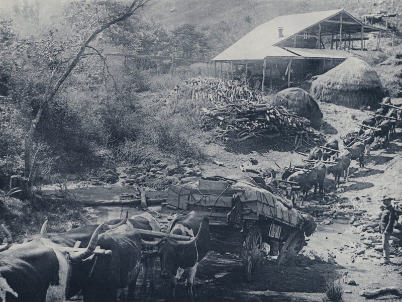 A Wagon Break-down, Scotsman Reef, Baberton (foto a p/b) de South African Photographer