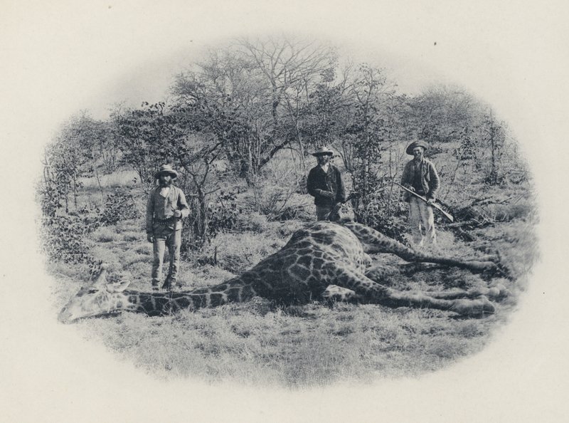 Big Game Hunting in the Transvaal (foto a p/b) de South African Photographer