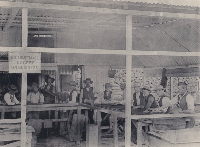Diamond Sorting, Wesselton Mine (foto a p/b) de South African Photographer