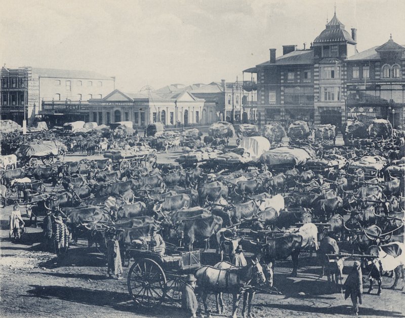 Mercado do início da manhã (foto a p/b) de South African Photographer