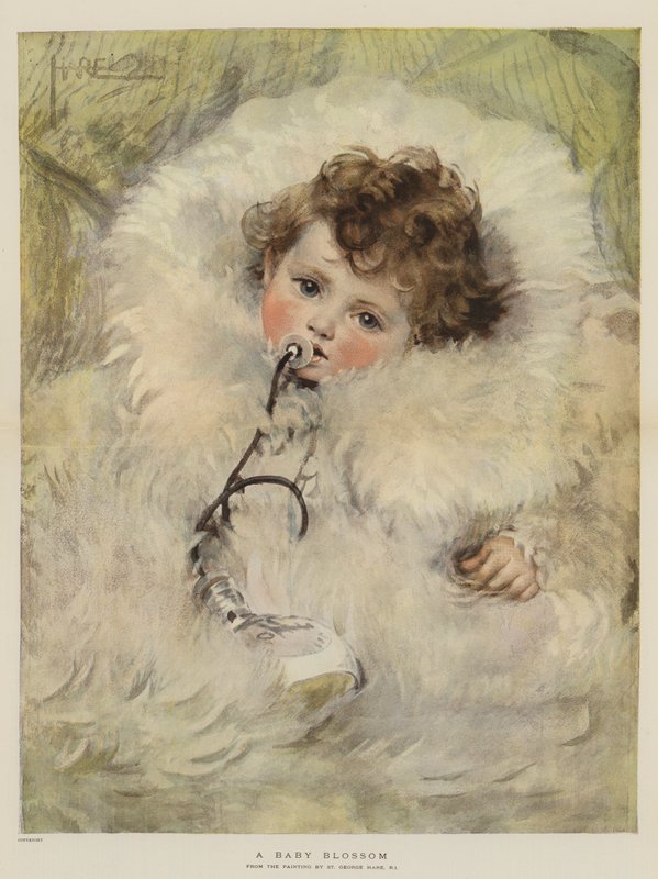Uma flor de bebê (chromolitho) de St. George Hare
