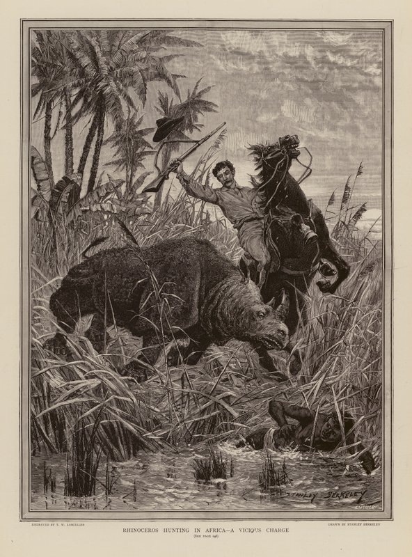 Caça ao rinoceronte em África (gravura) de Stanley (after) Berkeley