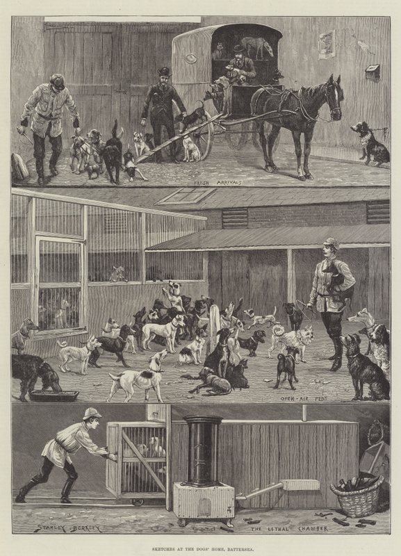 Esboços na casa dos cães, Battersea de Stanley Berkeley