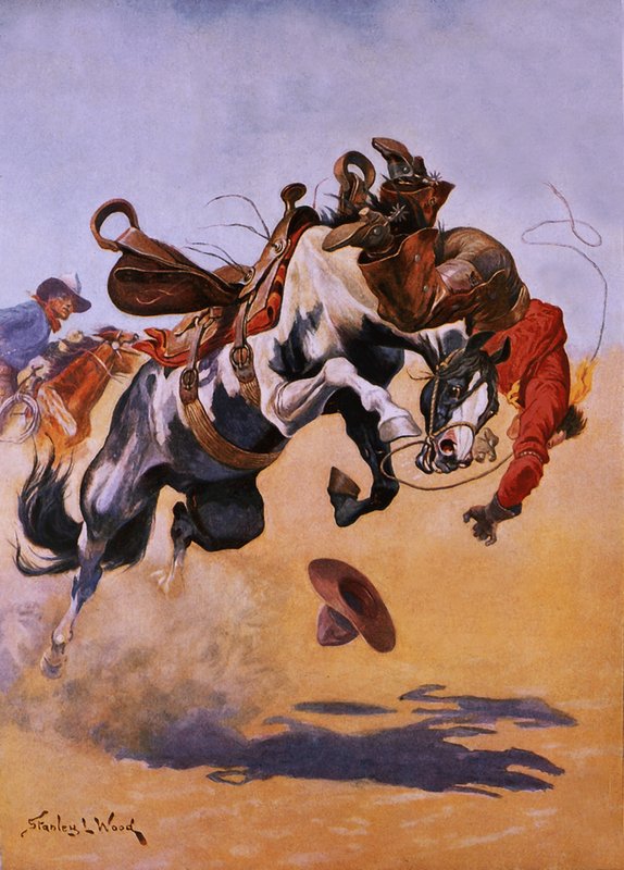 Bucked! de Stanley L. Wood