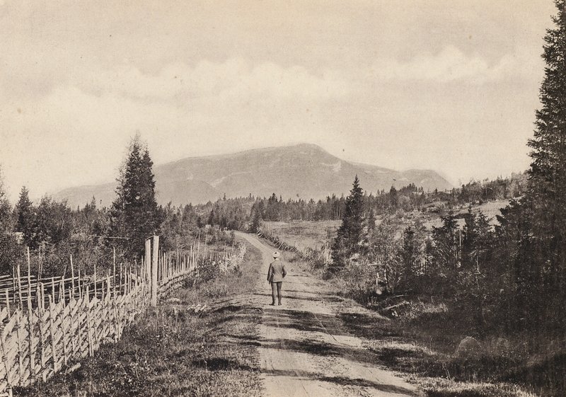 Sverige / Suécia: Jamtland, Areskutan Fran Undersaker (foto a p/b) de Swedish Photographer